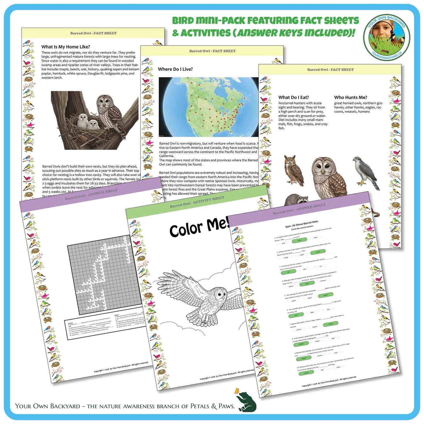 Bird education mini-pack with fact sheets, activities, and coloring pages on a blue border.