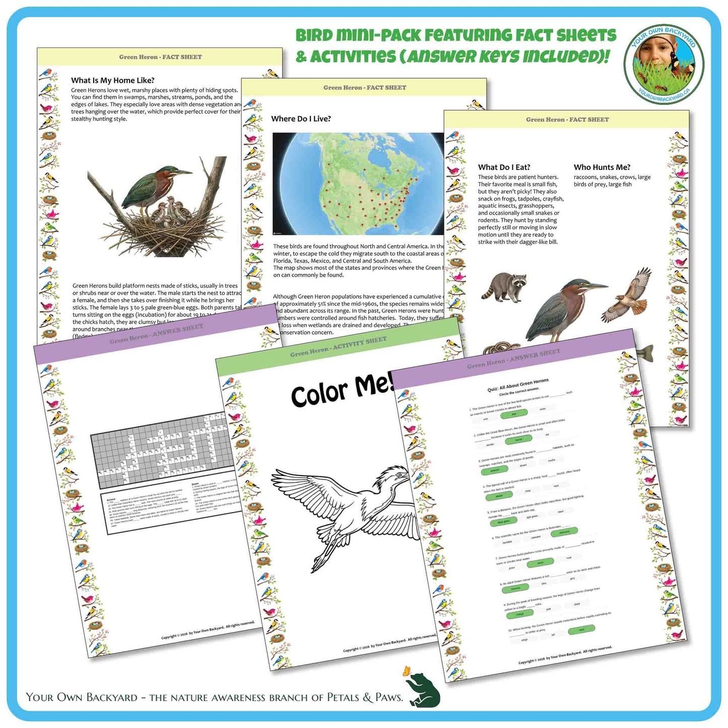 Bird education materials with fact sheets, coloring pages, and activities on a blue border.