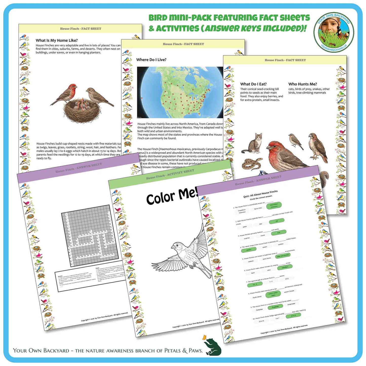 Bird mini-pack with fact sheets and activities on a blue border
