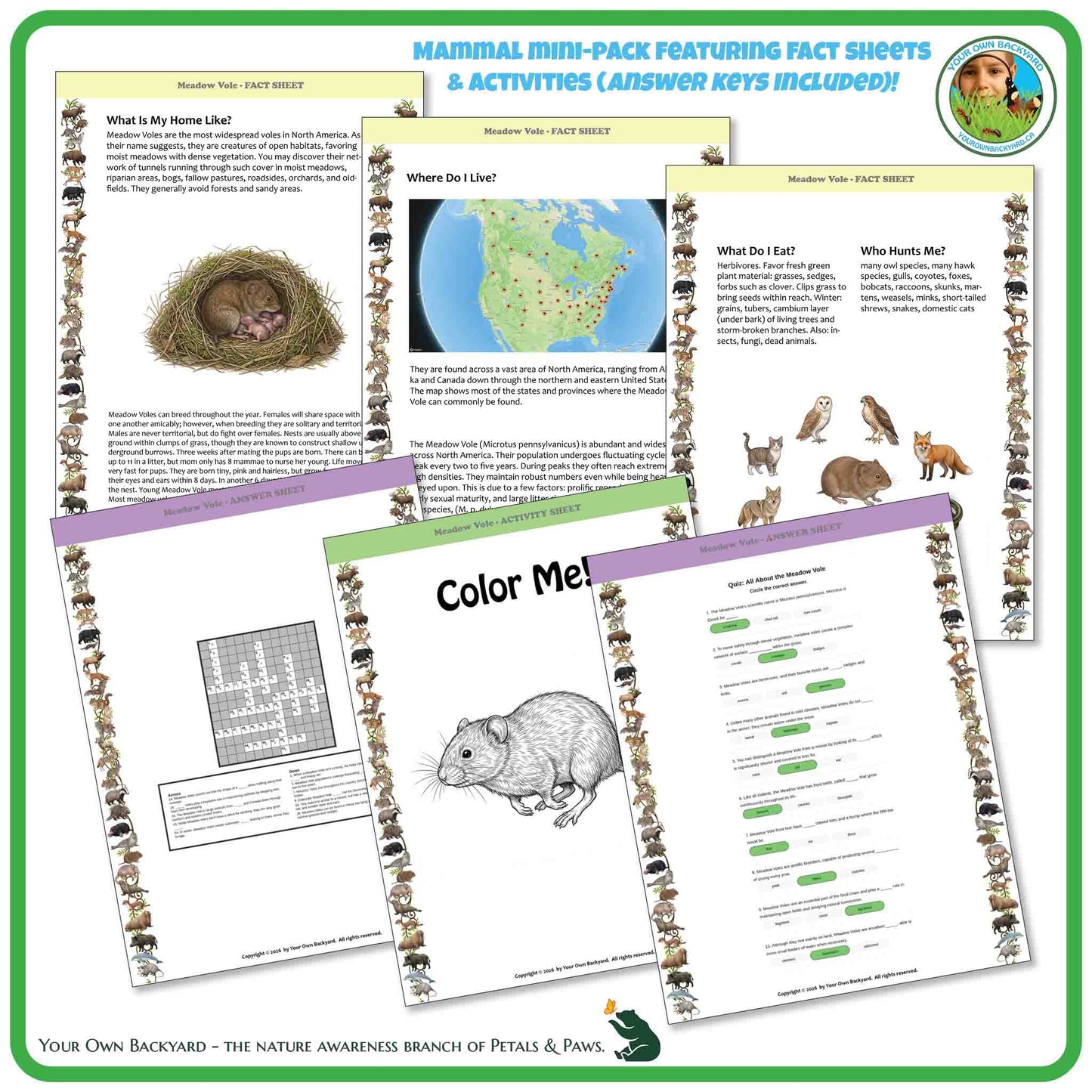 Educational materials on a white background with animal-themed activities and fact sheets.