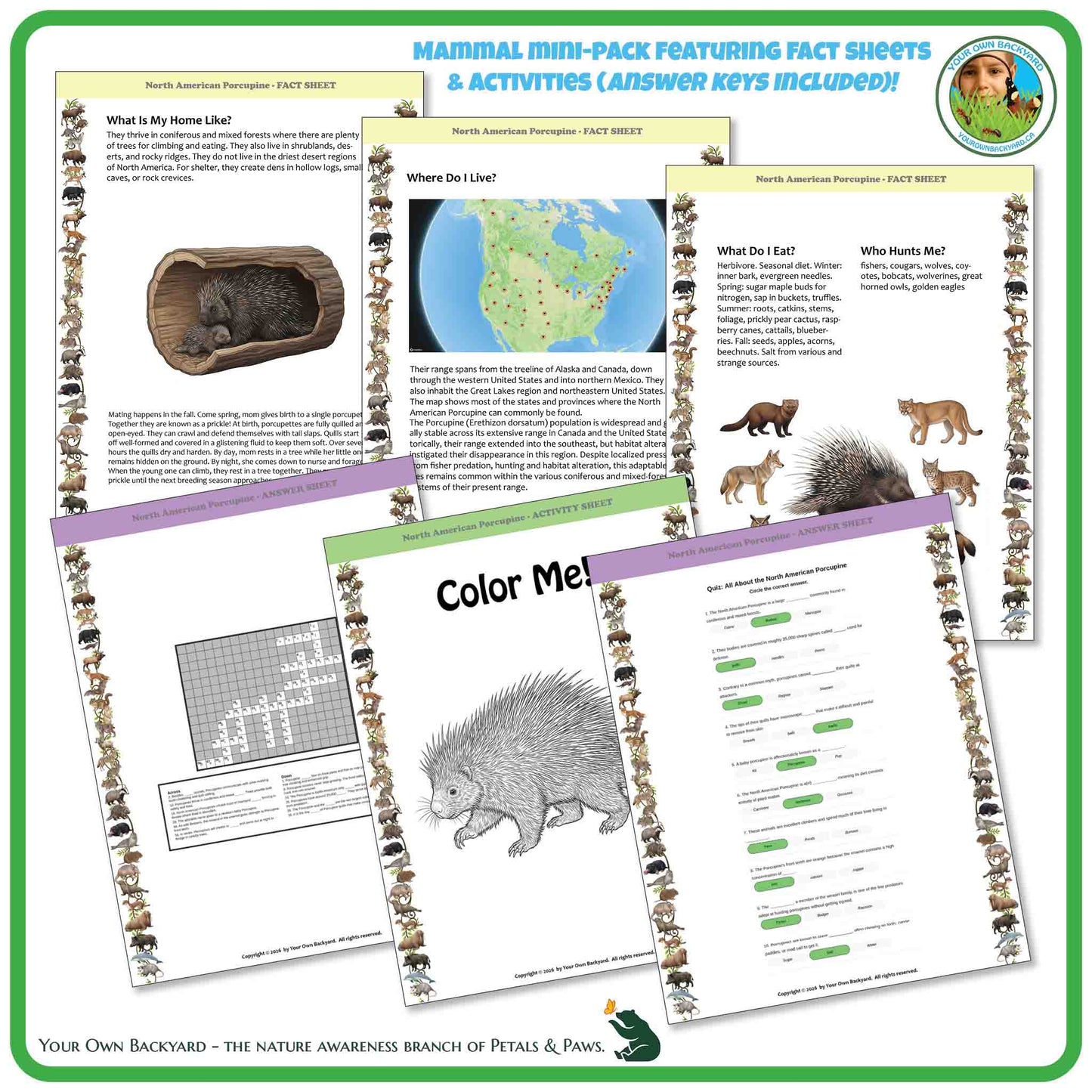 Educational materials on a white background with animal illustrations and text.