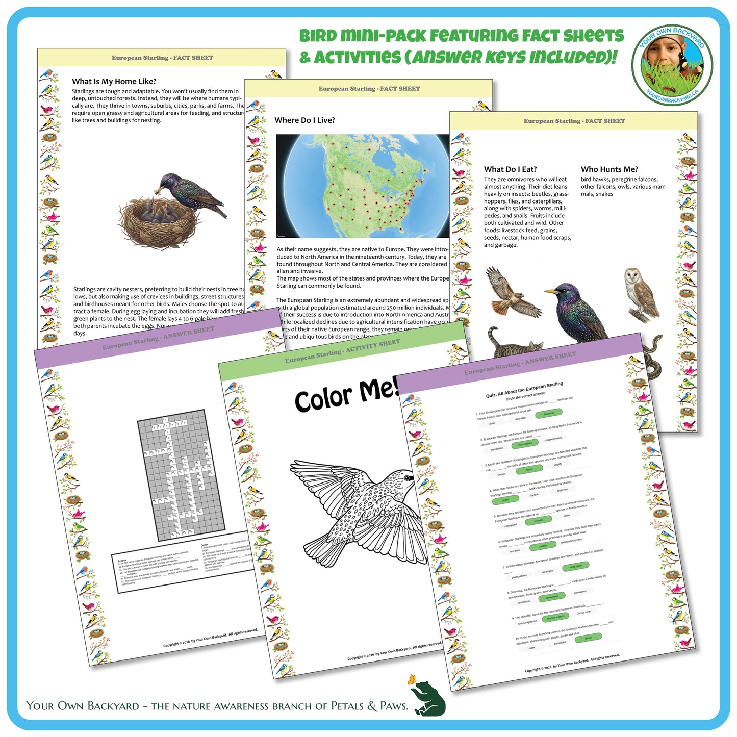 Bird education mini-pack with fact sheets, activities, and coloring pages on a blue border.