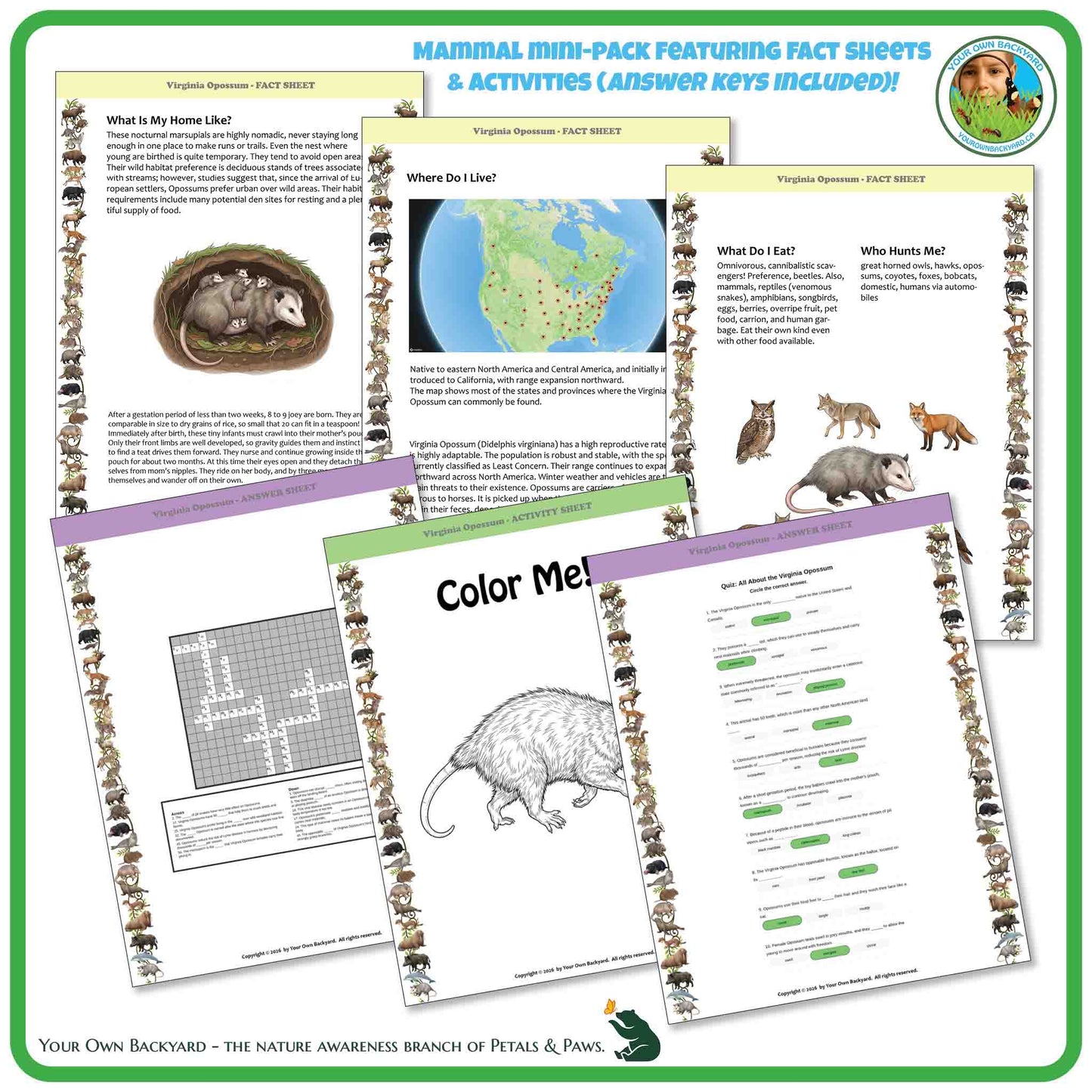 Educational worksheet pack featuring facts, activities, and illustrations of a Virginia opossum.