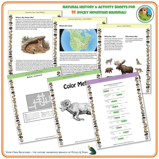 A product image of sample pages within each of the fourteen natural science mammal units in the All About Mountain Mammals Bundle.