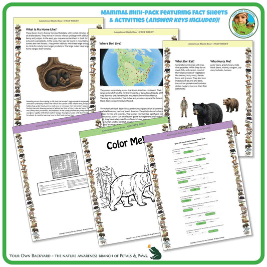 Internal pages of, 'All About Mammals - the American Black Bear' downloadable PDF product, an elementary-level unit by Your Own Backyard | Petals & Paws. Pages include natural history fact sheets and various printable worksheets.