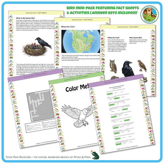 Internal pages of, 'All About Birds - the American Crow' downloadable PDF product, an elementary-level unit by Your Own Backyard | Petals & Paws. Pages include natural history fact sheets and various printable worksheets.