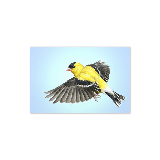 Product mockup flat-lay of American Goldfinch Greeting Card, with a realistic flying goldfinch against a clear blue sky.