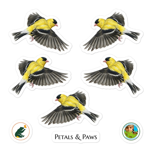 Product mockup of a sheet of five 2.5" wide American Goldfinch kiss-cut stickers. This sheet features realistic, illustrated American Goldfinch, along with Petals & Paws and Your Own Backyard logo stickers.