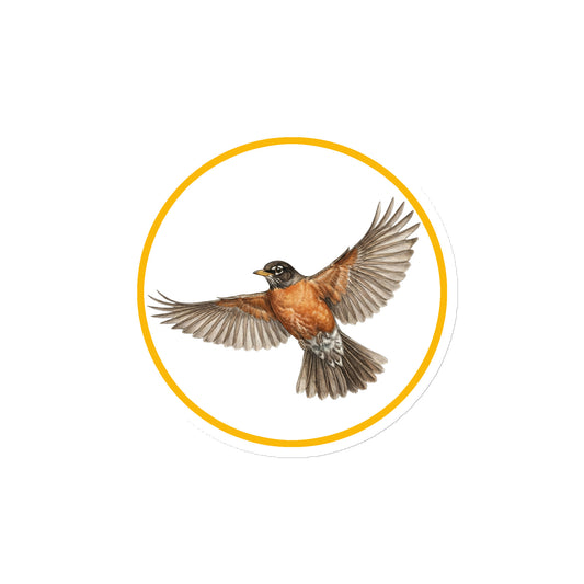 Product mockup of American Robin Circular Magnet, a 4" die-cut magnet featuring a realistic flying American robin within a yellow circle.