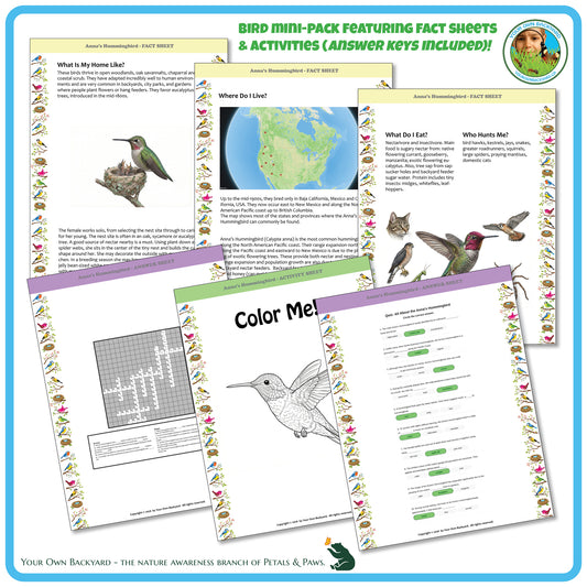 Internal pages of, 'All About Birds - the Anna's Hummingbird' downloadable PDF product, an elementary-level unit by Your Own Backyard | Petals & Paws. Pages include natural history fact sheets and various printable worksheets.