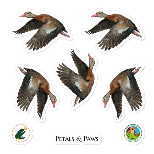 Product mockup of a sheet of five 2.5" wide Black-bellied Whistling Duck kiss-cut stickers. This sheet features five realistic, illustrated duck stickers, along with Petals & Paws and Your Own Backyard logo stickers.