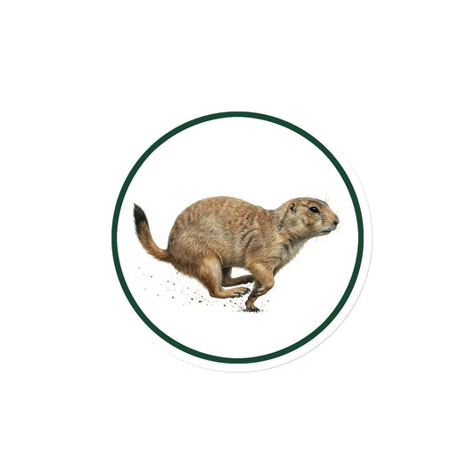 Product mockup of Black-tailed Prairie Dog Circular Magnet, a 4" die-cut magnet featuring a realistic prairie dog within a green circle.