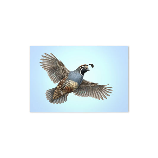 Product mockup flat-lay of California Quail Greeting Card, with a realistic flying quail against a clear blue sky.