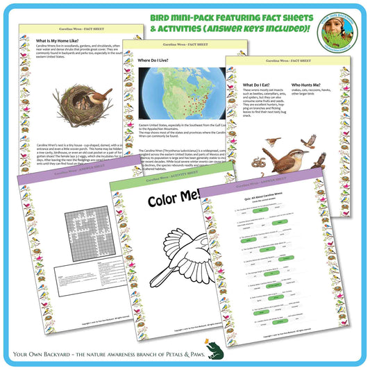 Internal pages of, 'All About Birds - the Carolina Wren' downloadable PDF product, an elementary-level unit by Your Own Backyard | Petals & Paws. Pages include natural history fact sheets and various printable worksheets.