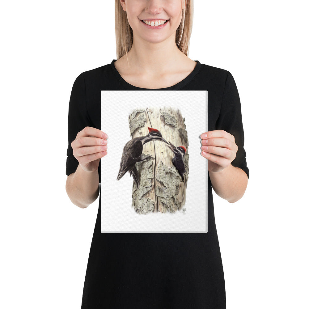 Person holding 9x12 inch gallery-wrapped canvas of Coaxing Courage illustration of Pileated Woodpeckers to show relative size. Illustrated by Suzanne Matheson, 2017.