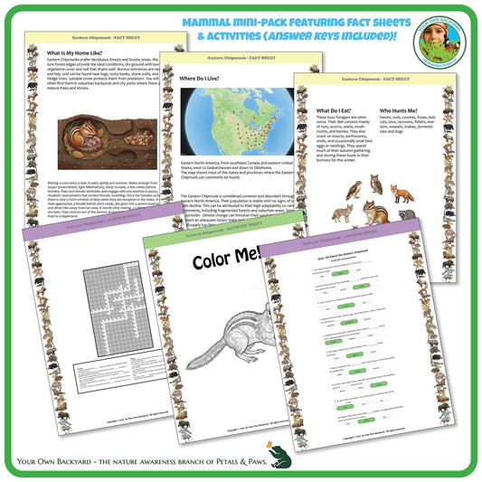 Internal pages of, 'All About Mammals - the Eastern Chipmunk' downloadable PDF product, an elementary-level unit by Your Own Backyard | Petals & Paws. Pages include natural history fact sheets and various printable worksheets.