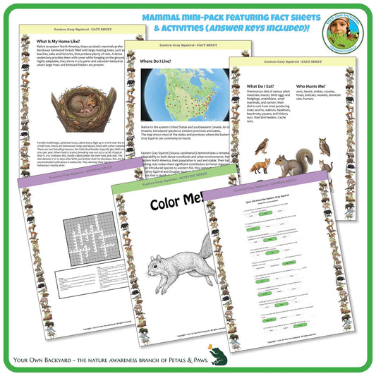 Internal pages of, 'All About Mammals - the Eastern Gray Squirrel' downloadable PDF product, an elementary-level unit by Your Own Backyard | Petals & Paws. Pages include natural history fact sheets and various printable worksheets.