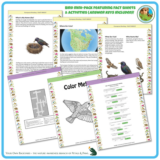 Internal pages of, 'All About Birds - the European Starling' downloadable PDF product, an elementary-level unit by Your Own Backyard | Petals & Paws. Pages include natural history fact sheets and various printable worksheets.