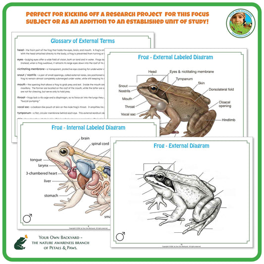 "Perfect for" text at the top to help teachers with how-to-use. Your Own Backyard logo in the top right corner. Sample pages of glossary and label key and non-labeled diagrams. "Your Own Backyard - The Nature Awareness Branch of Petals & Paws" in the bottom left corner.
