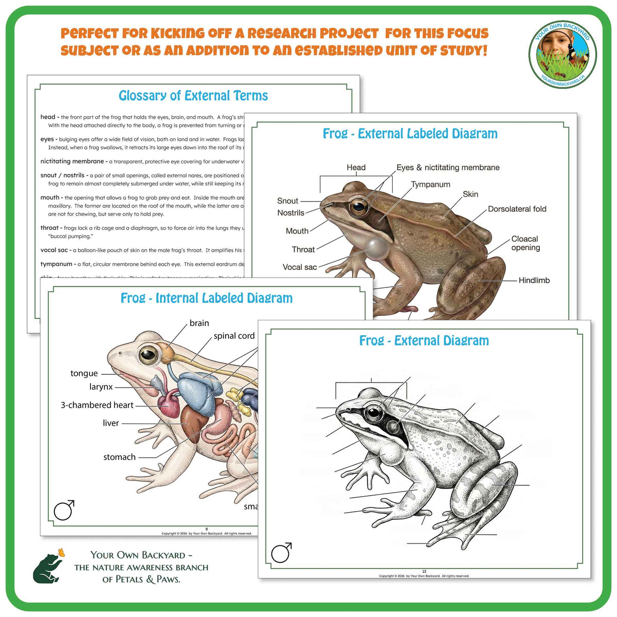 "Perfect for" text at the top to help teachers with how-to-use. Your Own Backyard logo in the top right corner. Sample pages of glossary and label key and non-labeled diagrams. "Your Own Backyard - The Nature Awareness Branch of Petals & Paws" in the bottom left corner.