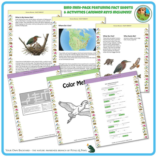 Internal pages of, 'All About Birds - the Green Heron' downloadable PDF product, an elementary-level unit by Your Own Backyard | Petals & Paws. Pages include natural history fact sheets and various printable worksheets.
