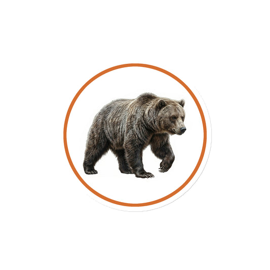Product mockup of Grizzly Bear Circular Magnet, a 4" die-cut magnet featuring a realistic bear within a orange circle.
