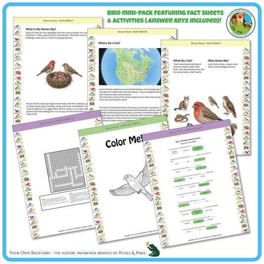 Internal pages of, 'All About Birds - the House Finch' downloadable PDF product, an elementary-level unit by Your Own Backyard | Petals & Paws. Pages include natural history fact sheets and various printable worksheets.