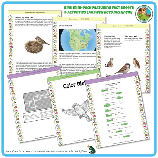 Internal pages of, 'All About Birds - the House Sparrow' downloadable PDF product, an elementary-level unit by Your Own Backyard | Petals & Paws. Pages include natural history fact sheets and various printable worksheets.
