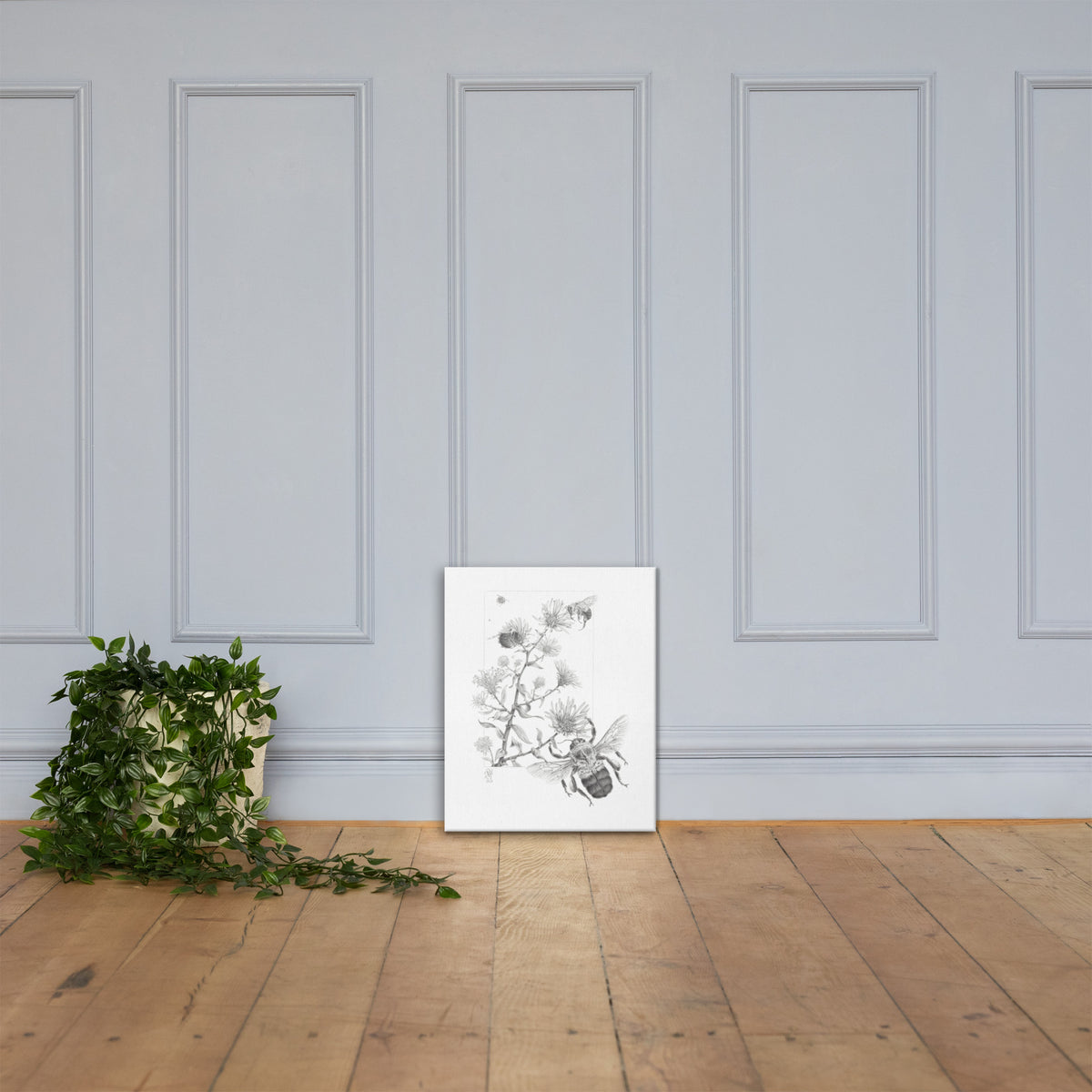 16x20 inch gallery-wrapped canvas of Late Autumn Forage illustration of bumblebees and asters leaning against a wall with a potted plant beside. Shows relative size. Graphite illustration by Suzanne Matheson, 2017.