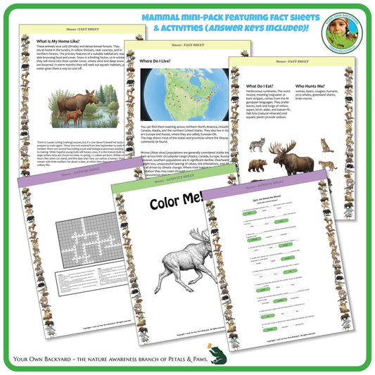 Internal pages of, 'All About Mammals - the Moose' downloadable PDF product, an elementary-level unit by Your Own Backyard | Petals & Paws. Pages include natural history fact sheets and various printable worksheets.