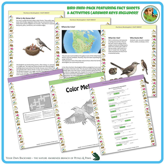 Internal pages of, 'All About Birds - the Northern Mockingbird' downloadable PDF product, an elementary-level unit by Your Own Backyard | Petals & Paws. Pages include natural history fact sheets and various printable worksheets.