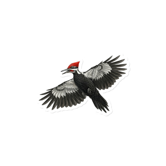 Product mockup of 4" Pileated Woodpecker Die-cut Magnet, featuring a cut-to-form, realistic flying woodpecker die-cut magnet.