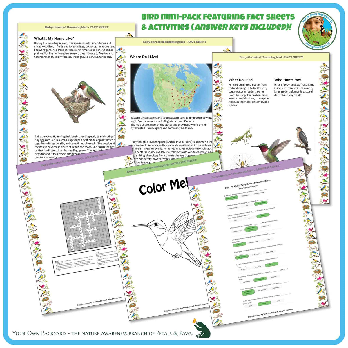 Internal pages of, 'All About Birds - the Ruby-throated Hummingbird' downloadable PDF product, an elementary-level unit by Your Own Backyard | Petals & Paws. Pages include natural history fact sheets and various printable worksheets.