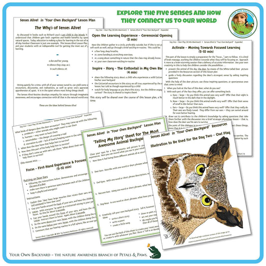 Image features six overlapping content pages for Senses Alive! Using Your Five Senses. Text at the top, "Explore the five senses and how they connect us to our world", with Your Own Backyard logo in the top right corner. "Your Own Backyard - The Nature Awareness Branch of Petals & Paws" runs along the bottom.