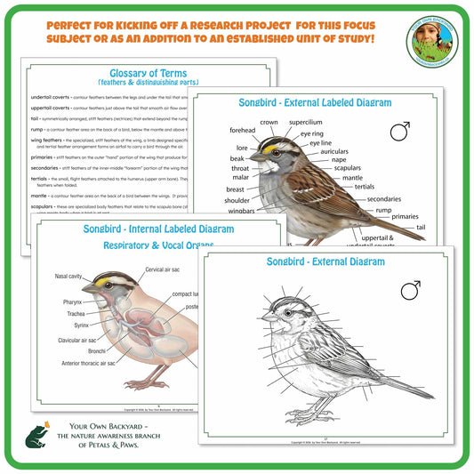 "Perfect for" text at the top to help teachers with how-to-use. Your Own Backyard logo in the top right corner. Sample pages of glossary and label key and non-labeled diagrams. "Your Own Backyard - The Nature Awareness Branch of Petals & Paws" in the bottom left corner.