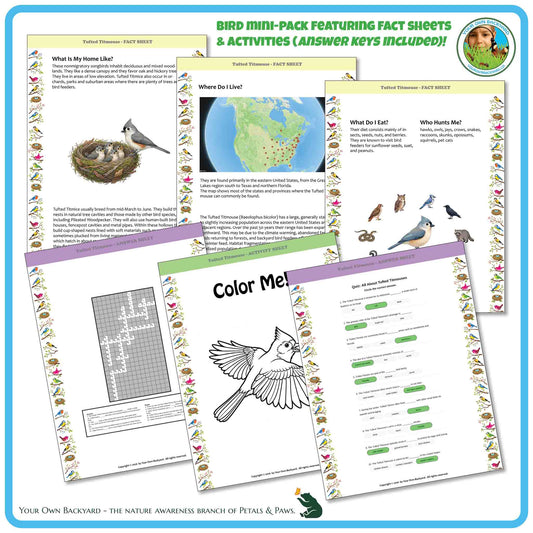 Internal pages of, 'All About Birds - the Tufted Titmouse' downloadable PDF product, an elementary-level unit by Your Own Backyard | Petals & Paws. Pages include natural history fact sheets and various printable worksheets.