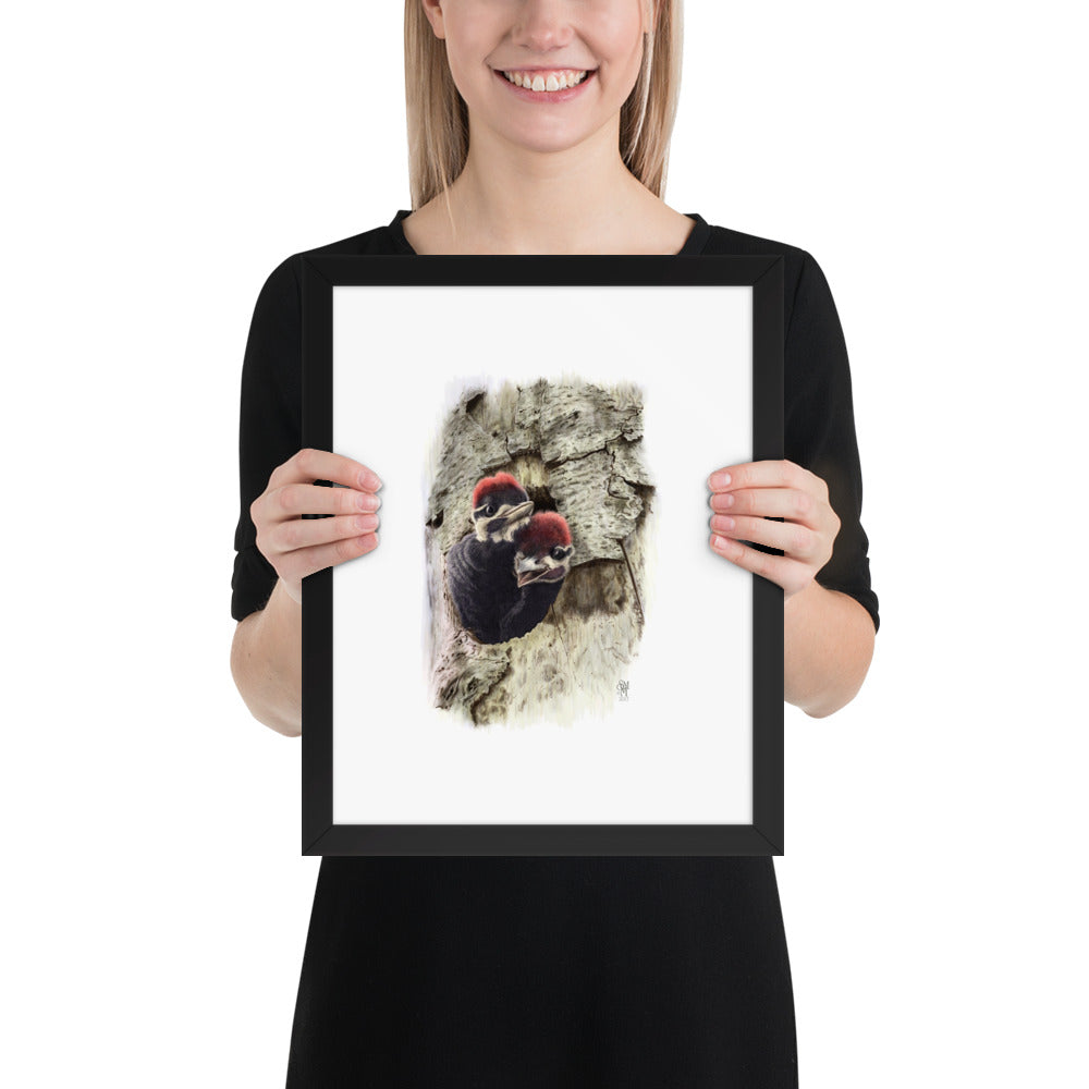 Person holding 11x14 inch black framed print of Two at the Door illustration of Pileated Woodpeckers to show relative size. Illustrated by Suzanne Matheson, 2017.