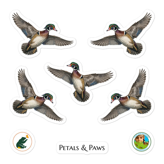 Product mockup of a sheet of five 2.5" wide Wood Duck kiss-cut stickers. This sheet features five realistic, illustrated duck stickers, along with Petals & Paws and Your Own Backyard logo stickers.