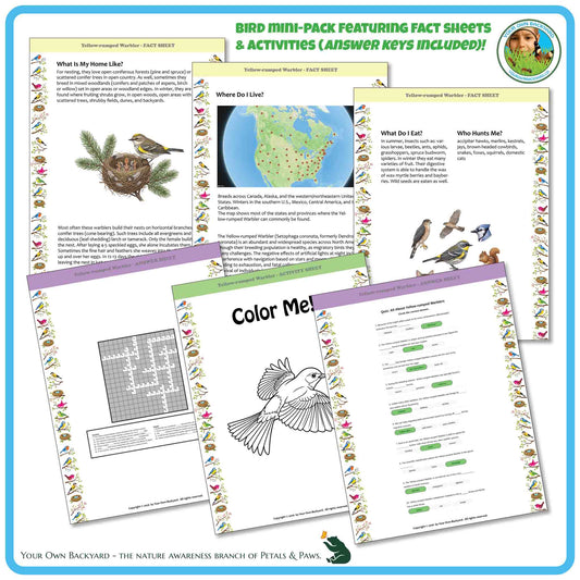 Internal pages of, 'All About Birds - the Yellow-rumped Warbler' downloadable PDF product, an elementary-level unit by Your Own Backyard | Petals & Paws. Pages include natural history fact sheets and various printable worksheets.