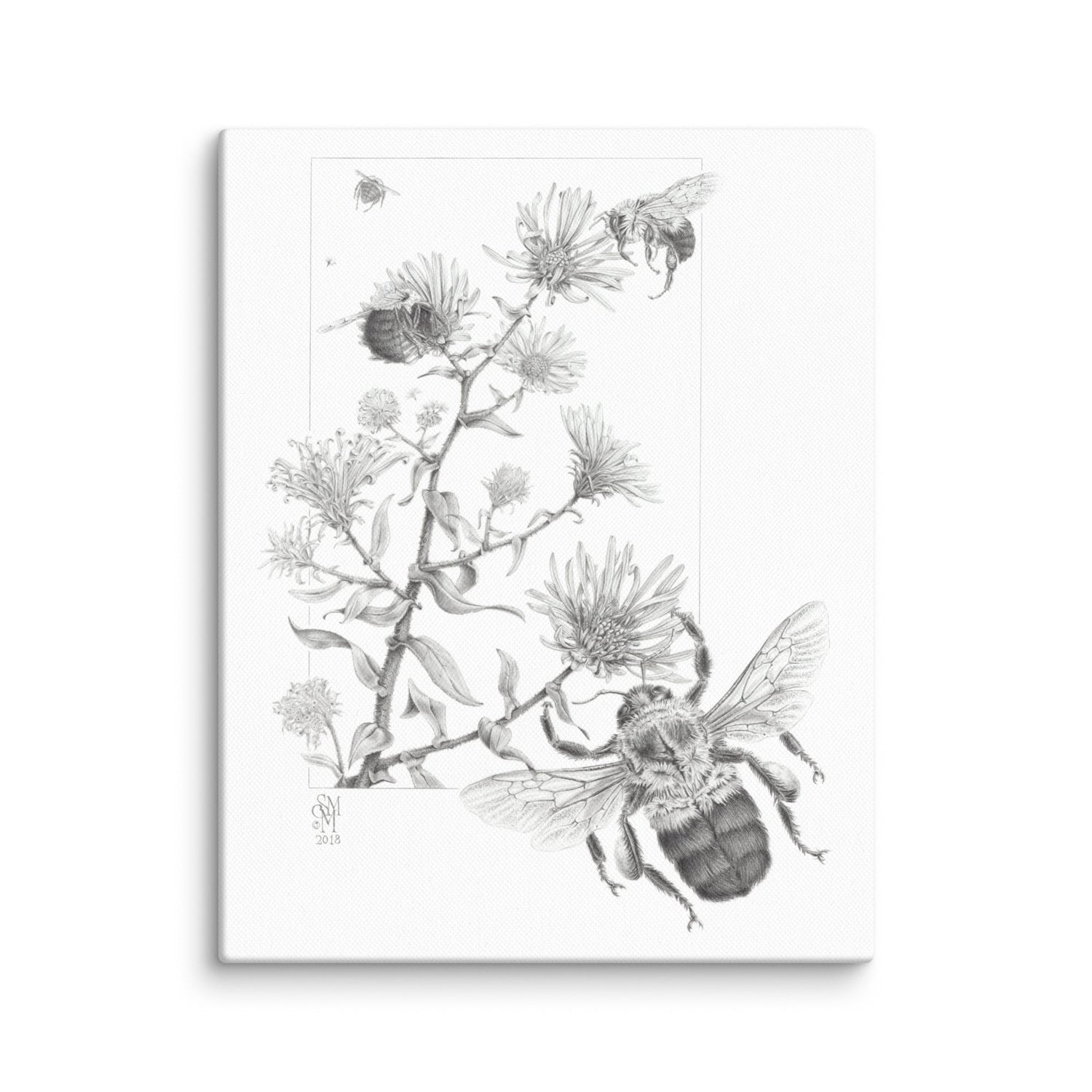 Plants & Forests