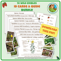 Ten Wild Edibles ID Cards & Guide Bundle