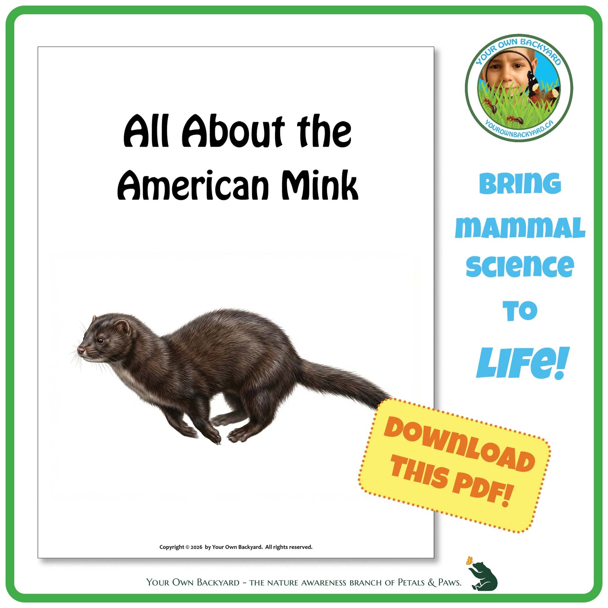 Book cover about the American Mink with a mink illustration and promotional text.
