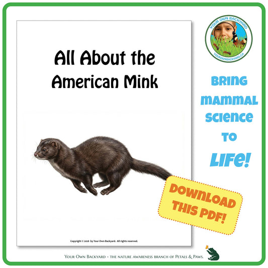 Book cover about the American Mink with a mink illustration and promotional text.