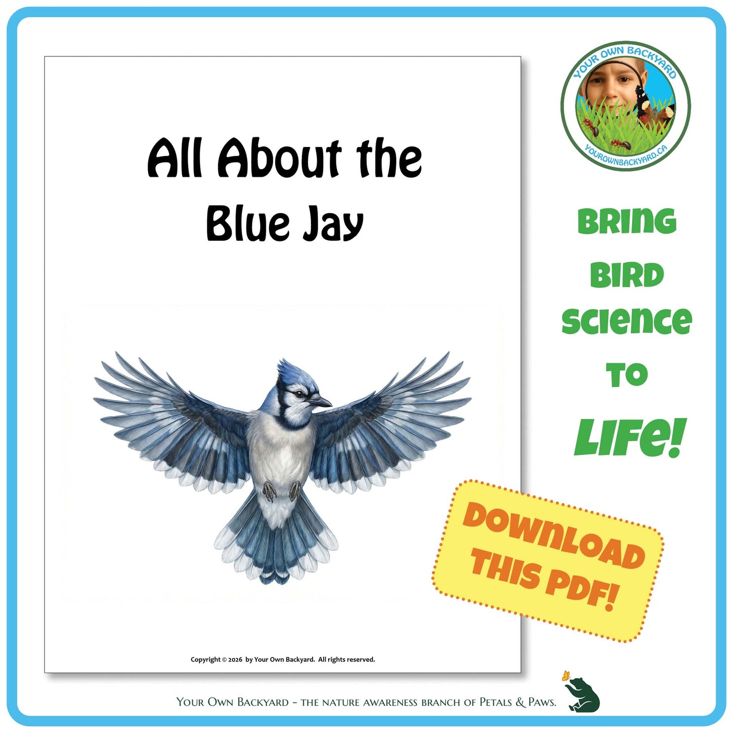 Book cover of 'All About the Blue Jay' with a blue jay illustration and promotional text.