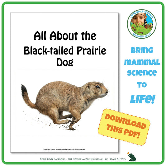 Book cover of 'All About the Black-tailed Prairie Dog' with a prairie dog illustration and promotional text.