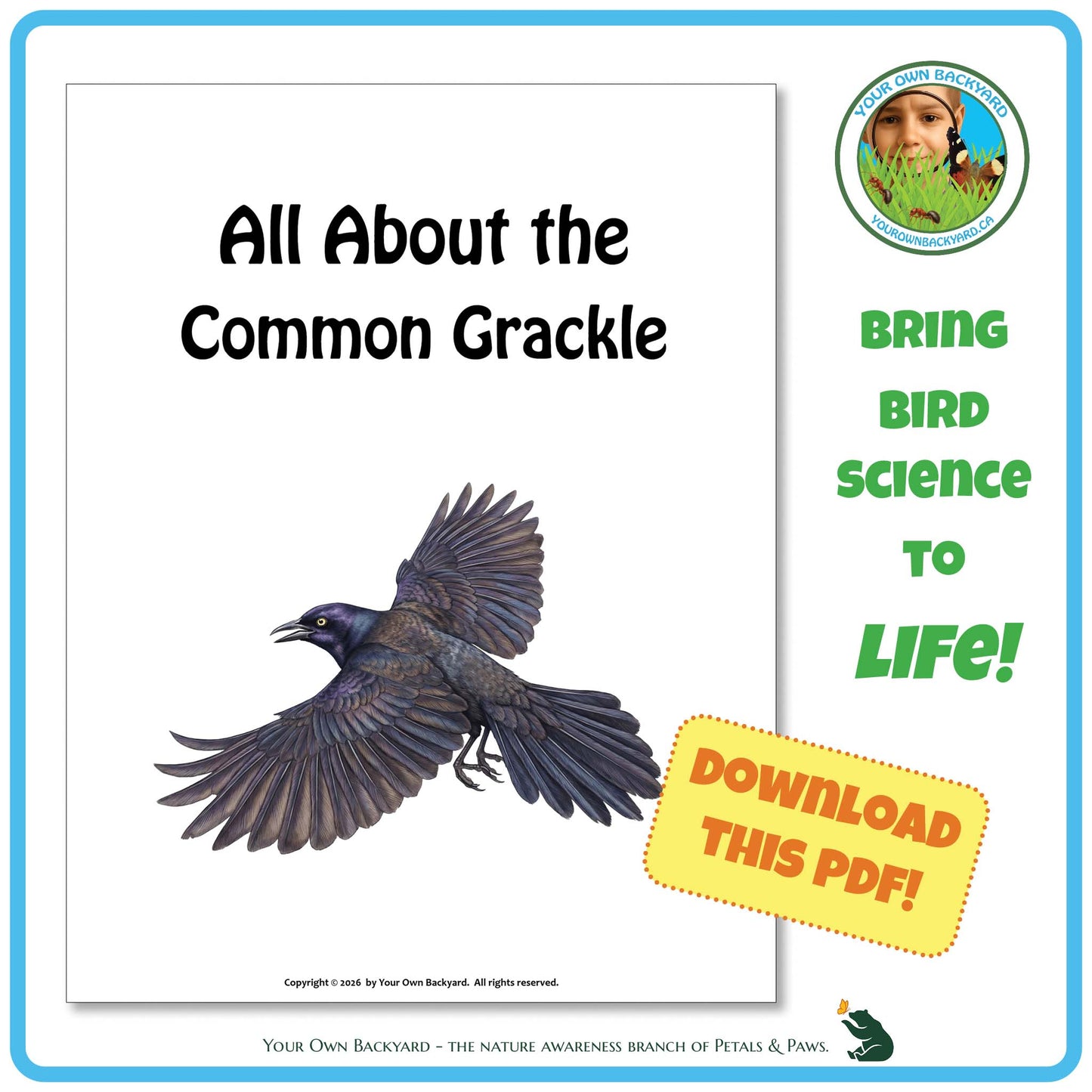 Book cover titled 'All About the Common Grackle' with a bird illustration and promotional text.