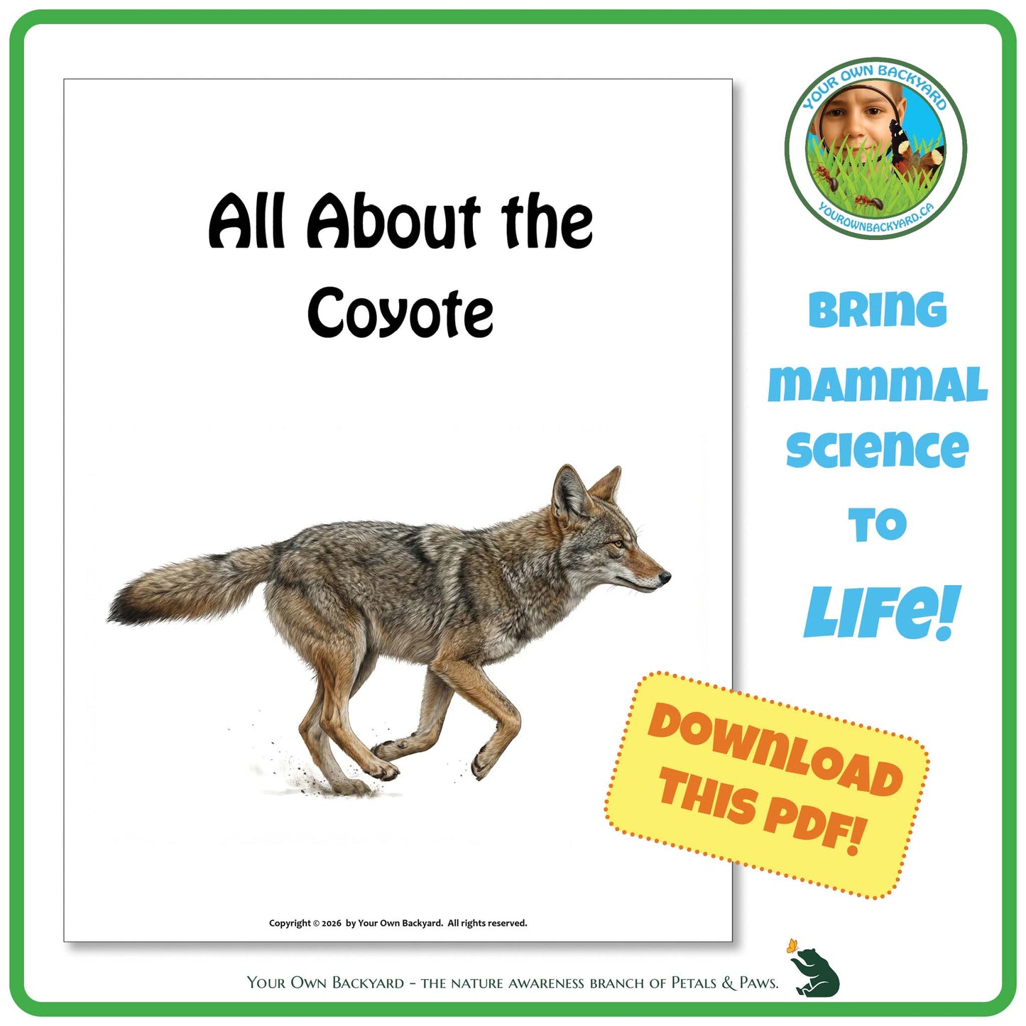 Book cover of 'All About the Coyote' with a coyote illustration and promotional text.
