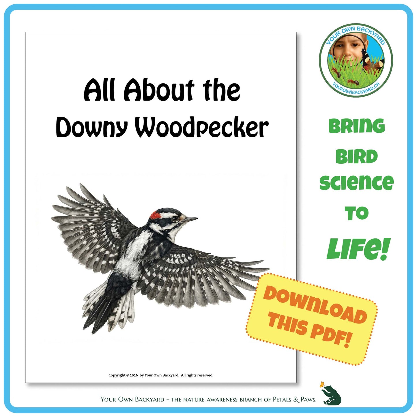 Book cover of 'All About the Downy Woodpecker' with a bird illustration and promotional text.