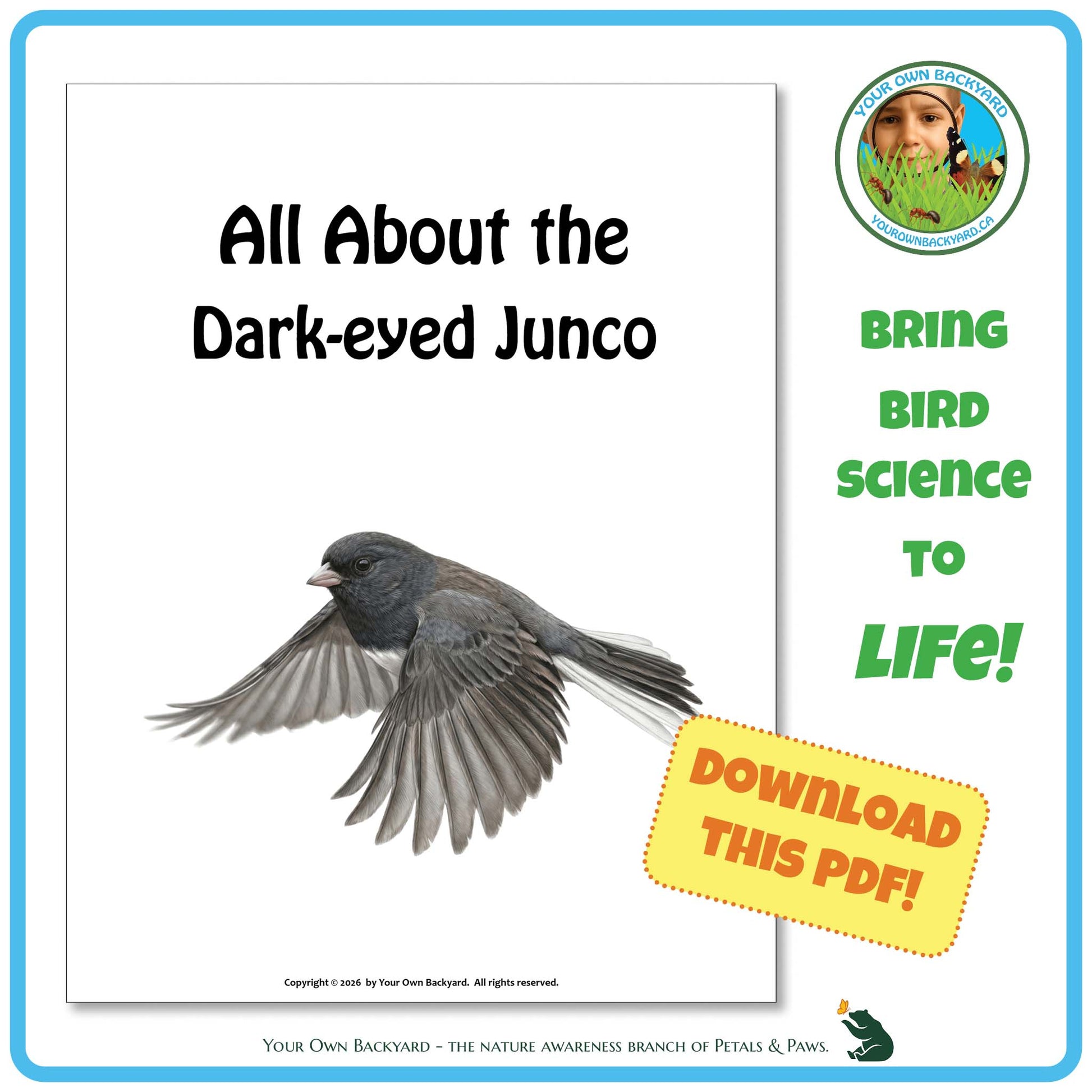 Book cover about the Dark-eyed Junco with a bird illustration and promotional text.