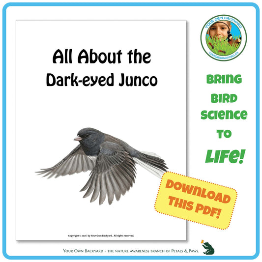Book cover about the Dark-eyed Junco with a bird illustration and promotional text.